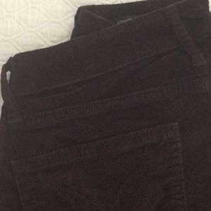 Calvin Klein burgundy cords
